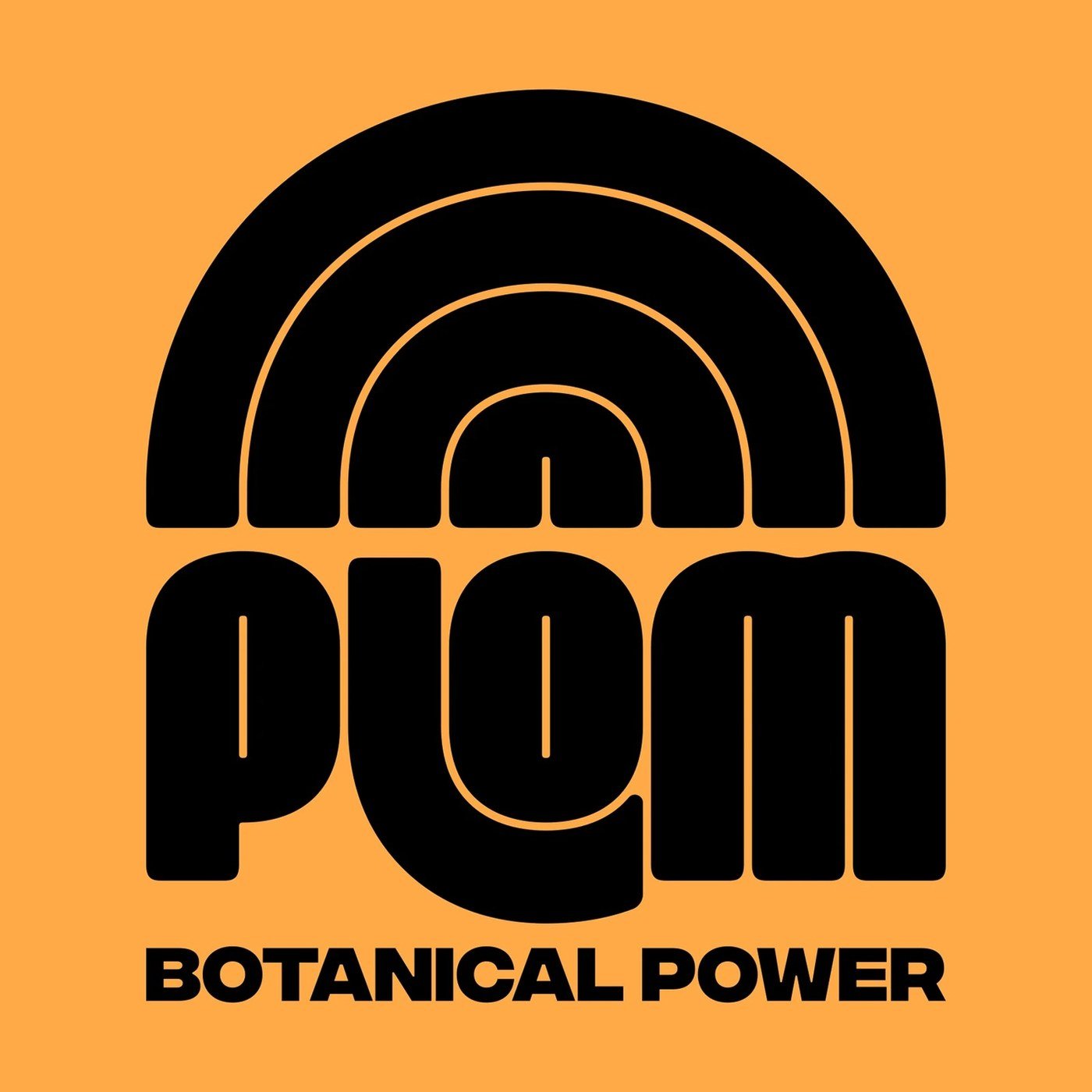 Айдентика напитка Plom от Brand Brothers